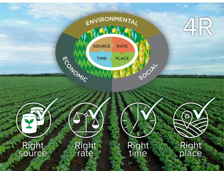 Foliar Fertilisation And The “4R” Technique/guidelines | BMS Micro ...